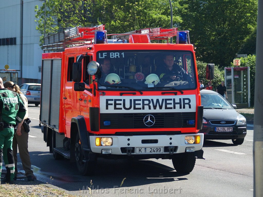 Brand Gebuesch Koeln Gremberg 16.JPG